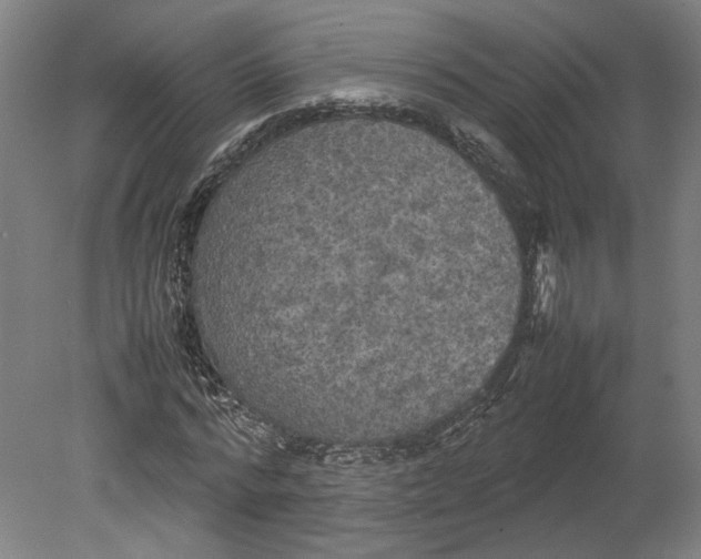 X0000080660776200701050942