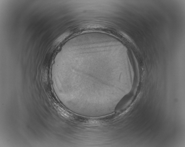 X0000080660777200701050942