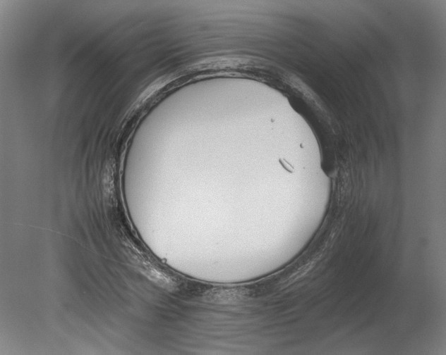 X0000080660778200701050941