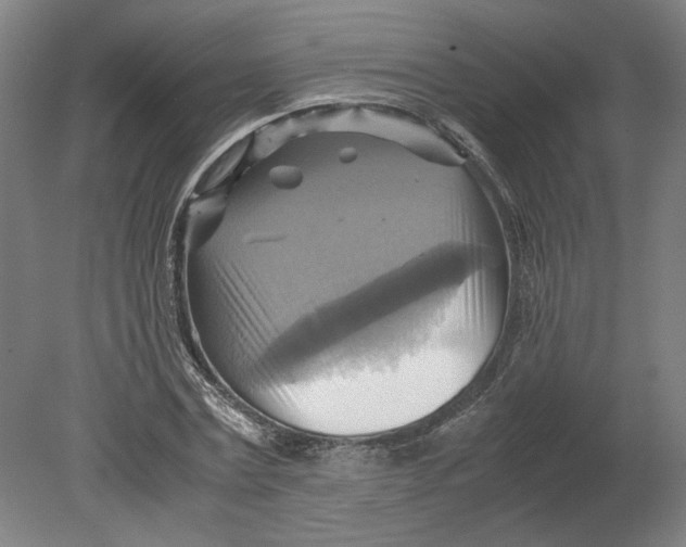 X0000080660779200701050941