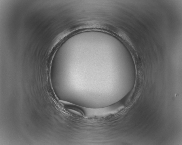 X0000080660781200701050941