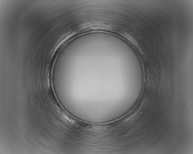 X0000080660782200701050941