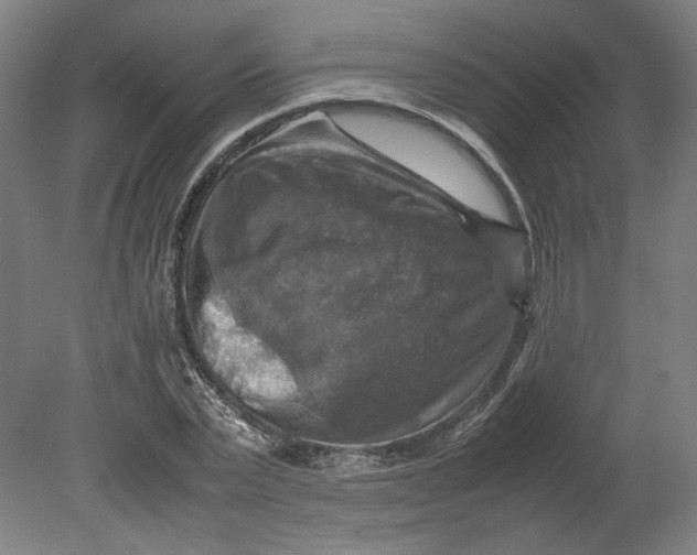 X0000080660783200701050941