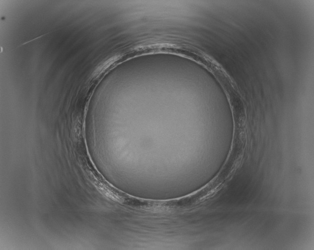 X0000080660785200701050941