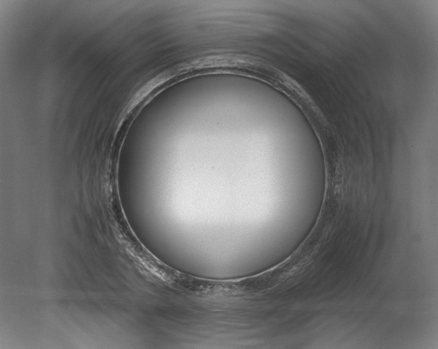 X0000080660786200701050941