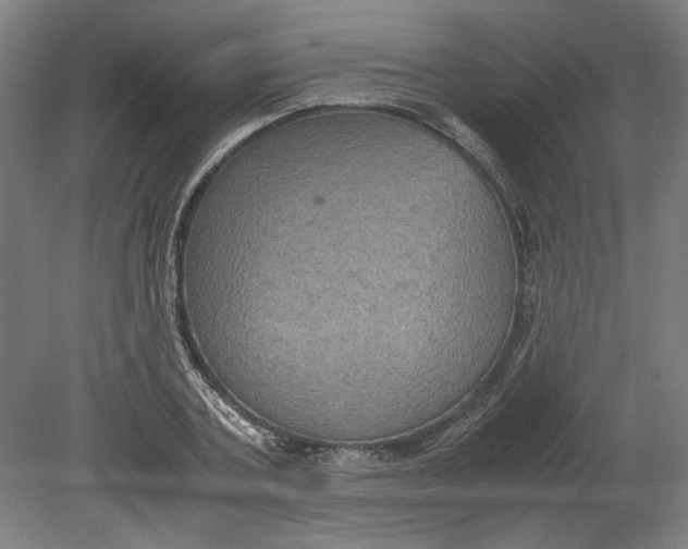 X0000080660787200701050941