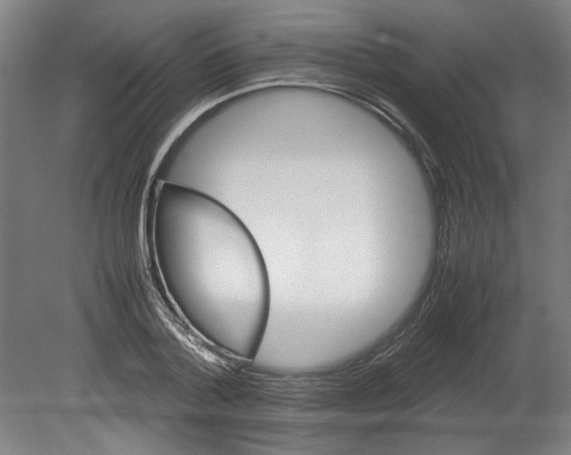 X0000080660788200701050941