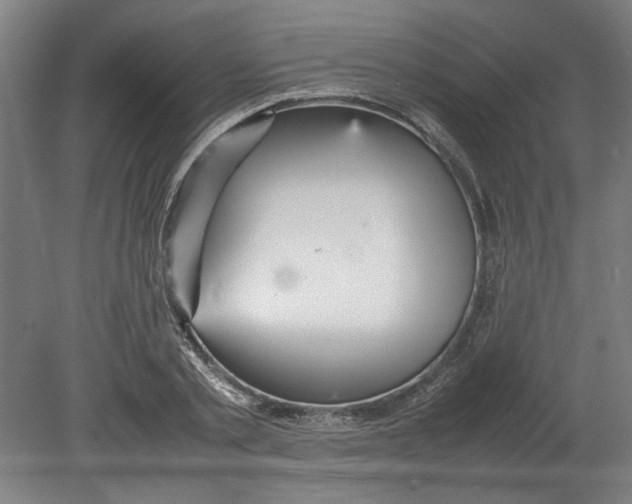 X0000080660789200701050941