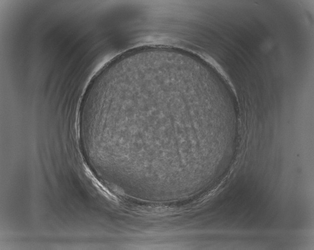 X0000080660791200701050941