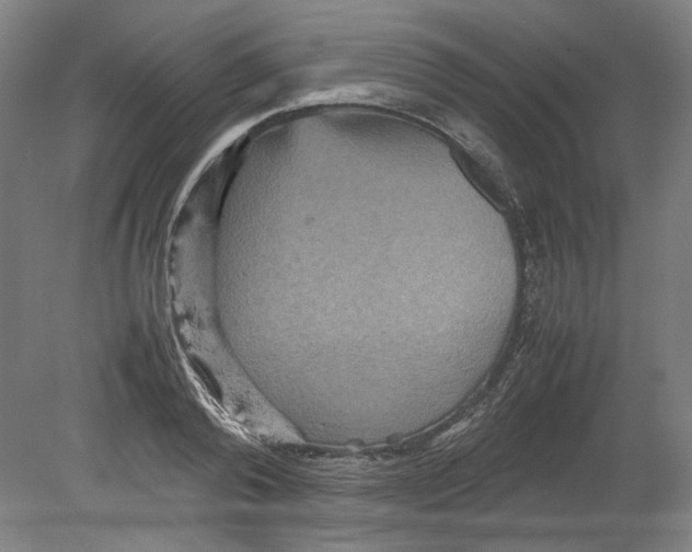 X0000080660792200701050941