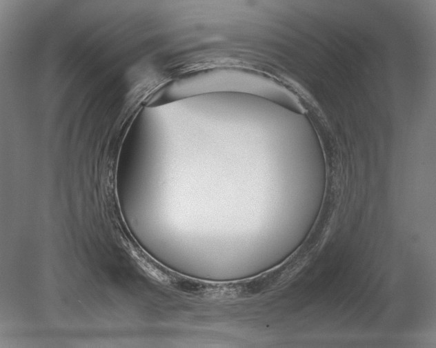 X0000080660793200701050941