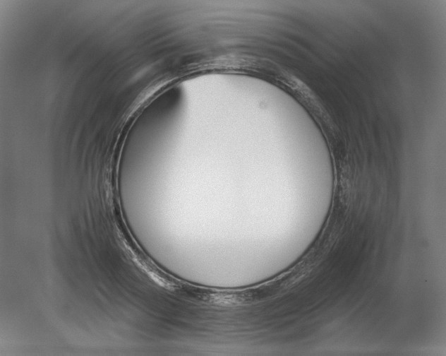 X0000080660794200701050941