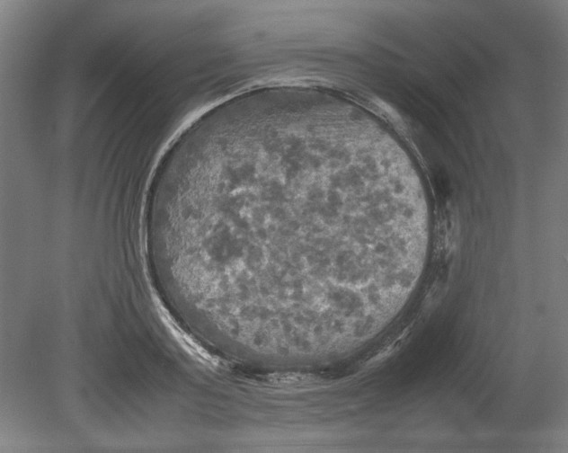 X0000080660795200701050941