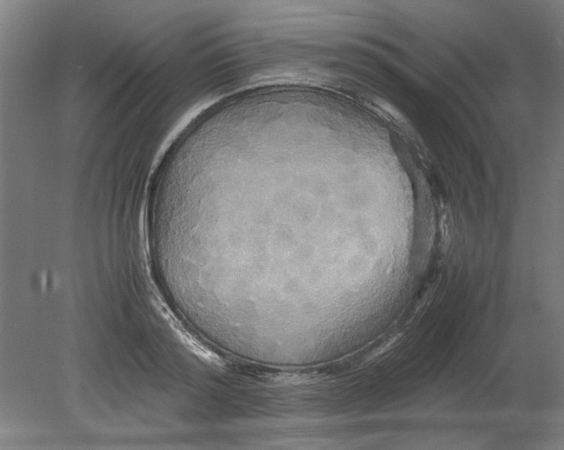 X0000080660796200701050941