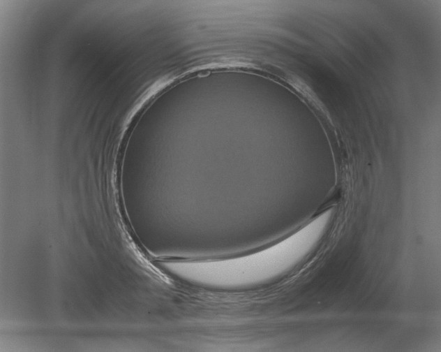 X0000080660797200701050941