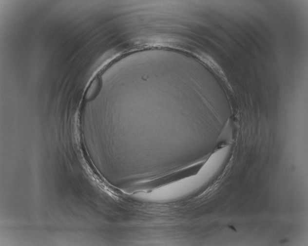 X0000080660798200701050941