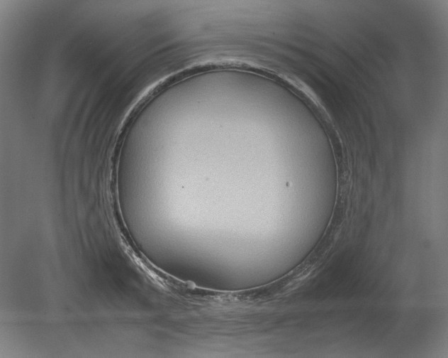 X0000080660799200701050941