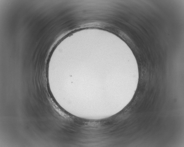 X0000080660800200701050941