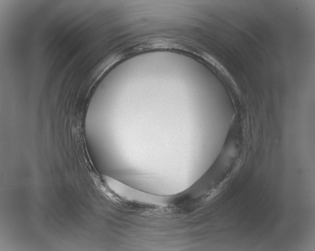 X0000080660801200701050941