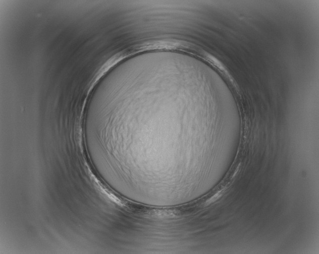 X0000080660802200701050941