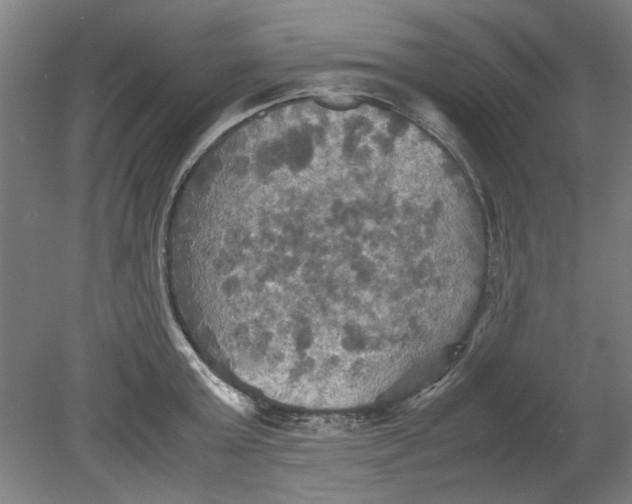 X0000080660803200701050941