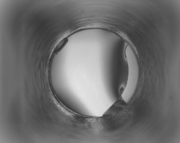 X0000080660805200701050941