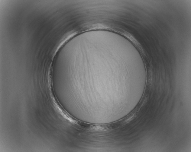 X0000080660806200701050941