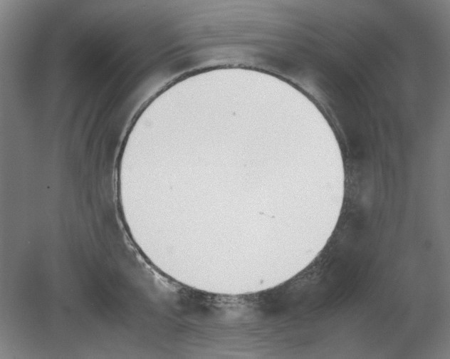 X0000080660807200701050941