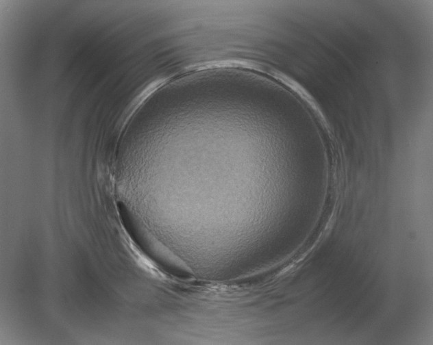 X0000080660809200701050941