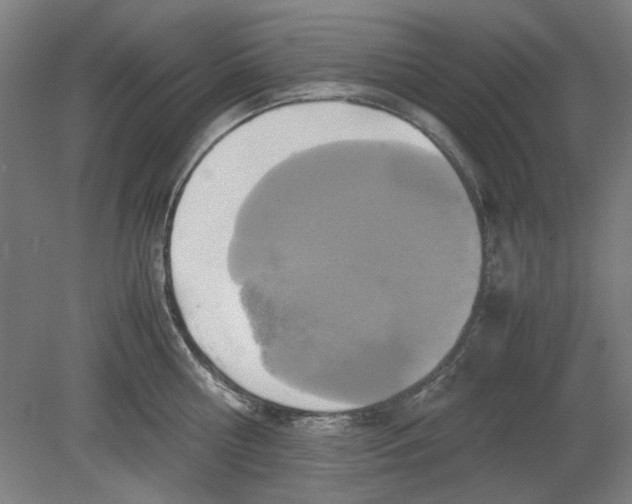 X0000080660810200701050941