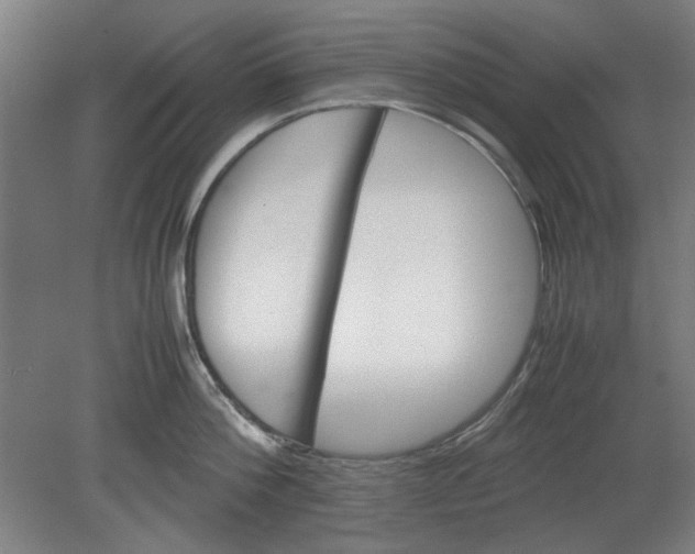 X0000080660812200701050941