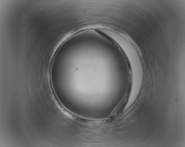 X0000080660813200701050941