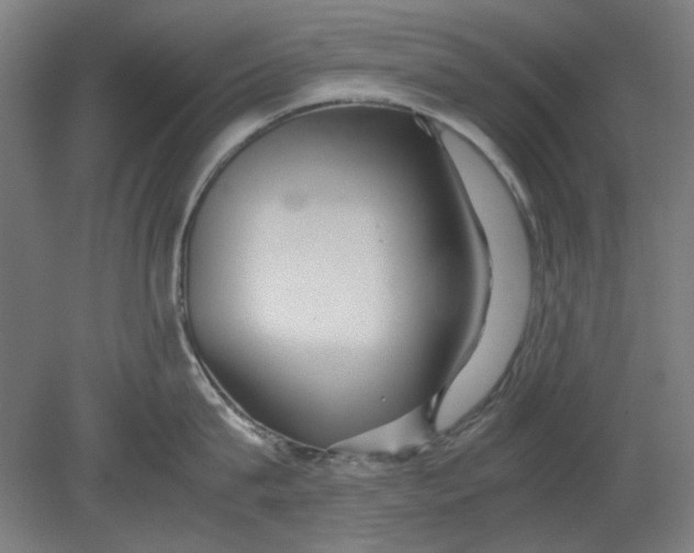 X0000080660815200701050941