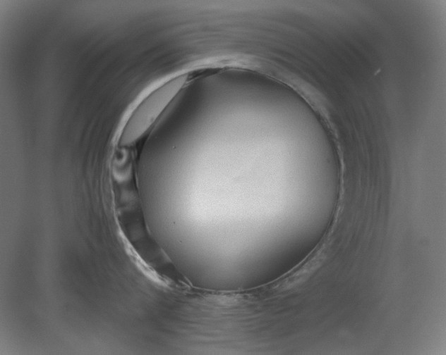 X0000080660816200701050941