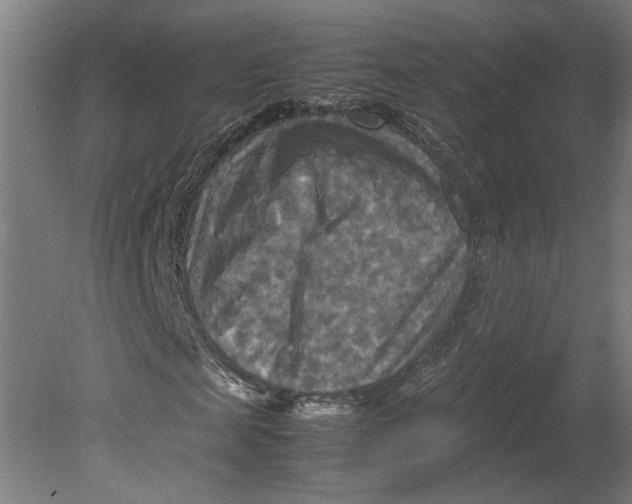 X0000080660817200701050940