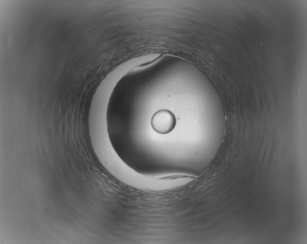 X0000080660818200701050940