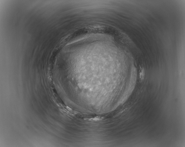 X0000080660819200701050940