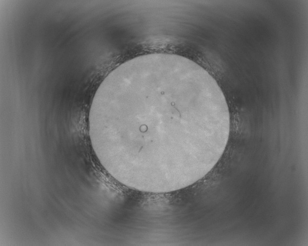 X0000080660820200701050940