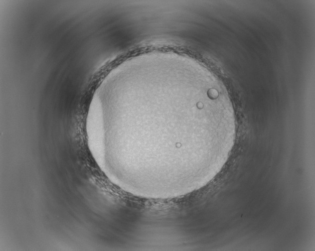 X0000080660824200701050940