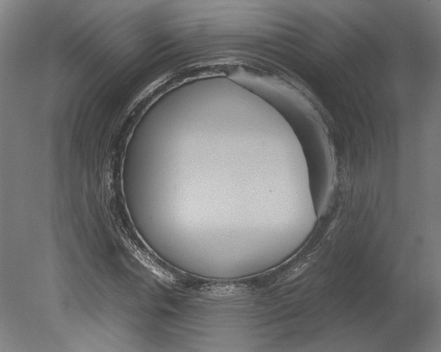 X0000080660826200701050940