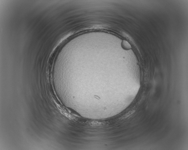 X0000080660827200701050940