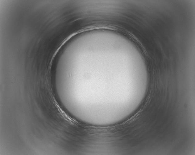 X0000080660828200701050940