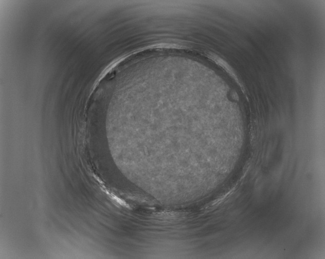 X0000080660829200701050940