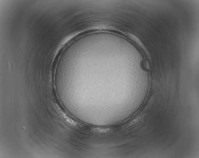 X0000080660831200701050940