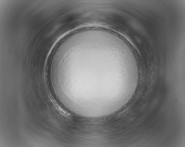 X0000080660832200701050940