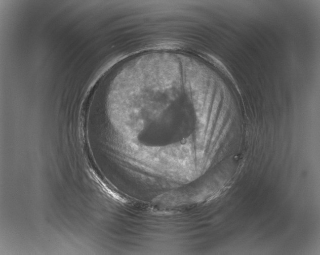 X0000080660835200701050940