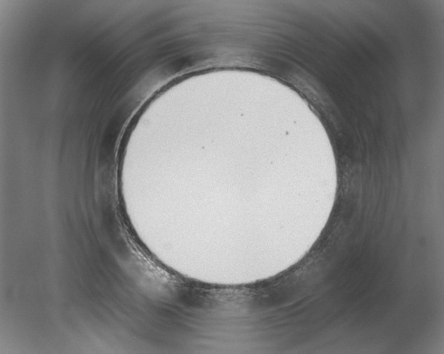 X0000080660836200701050940