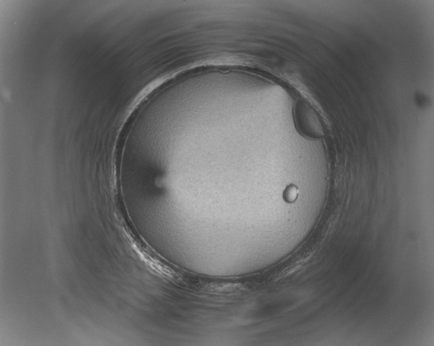 X0000080660837200701050940