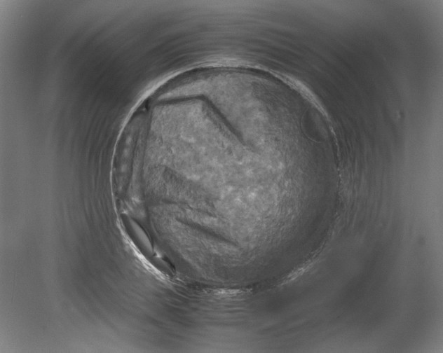 X0000080660839200701050940