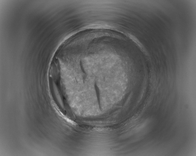 X0000080660840200701050940